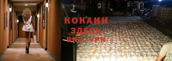 стафф Аркадак