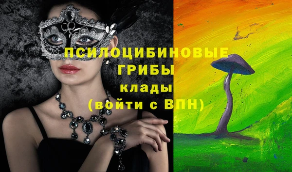 ECSTASY Армянск