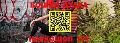 молекула духа Краснознаменск