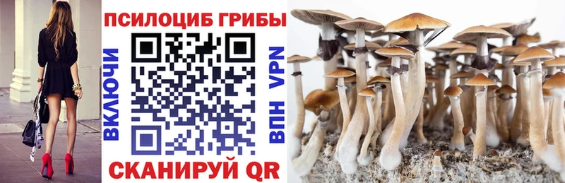 Псилоцибиновые грибы мухоморы  как найти   Когалым 