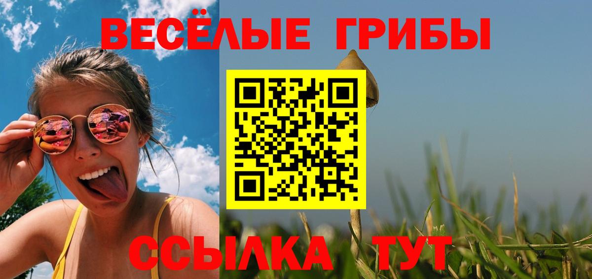 дарнет шоп  Вход с VPN  Когалым  Галлюциногенные грибы мухоморы 